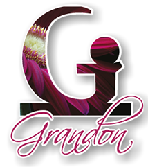 logo de grandon